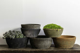 Photo of Campania Farmer's Bowl - Set of 12 - Marquis Gardens
